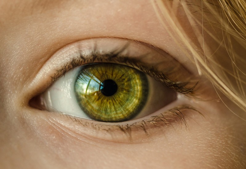 12 อาหารเสริมบำรุงสายตา ยี่ห้อไหนดี เหมาะสำหรับคนใช้สายตามาก วิตามินเอ ลูทีน