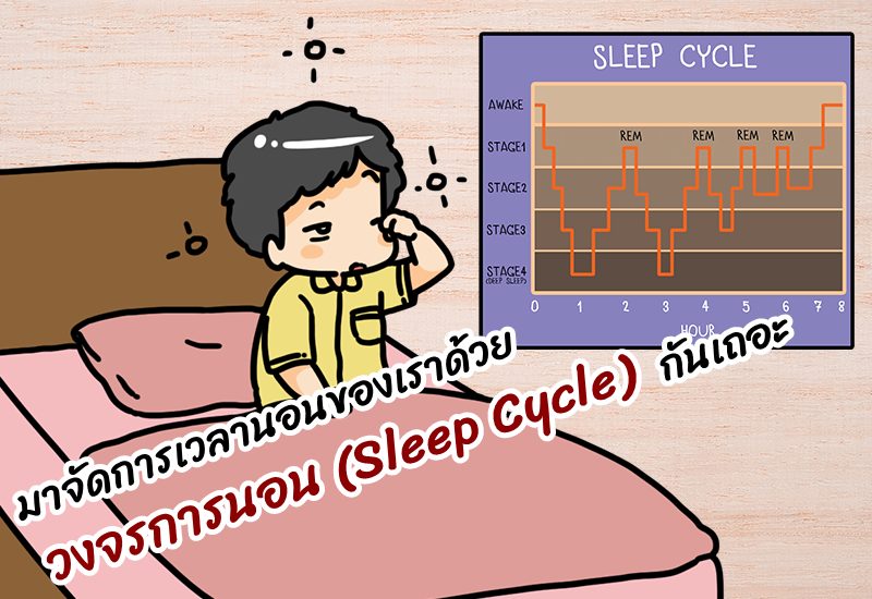 มาจัดการเวลานอนของเราด้วยวงจรการนอน (Sleep Cycle) กันเถอะ