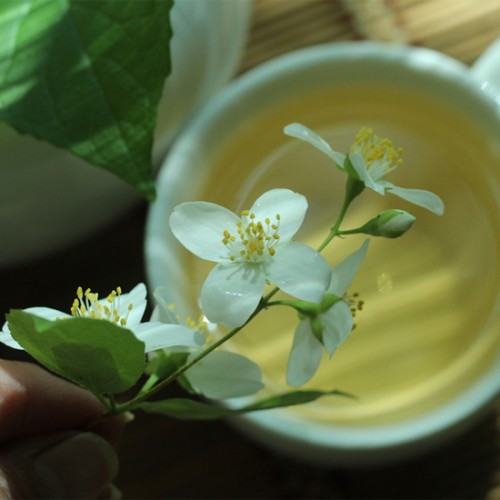 9 ชาเขียวมะลิ ยี่ห้อไหนดี หอมกลิ่นมะลิ มีประโยชน์ต่อร่างกาย 2021