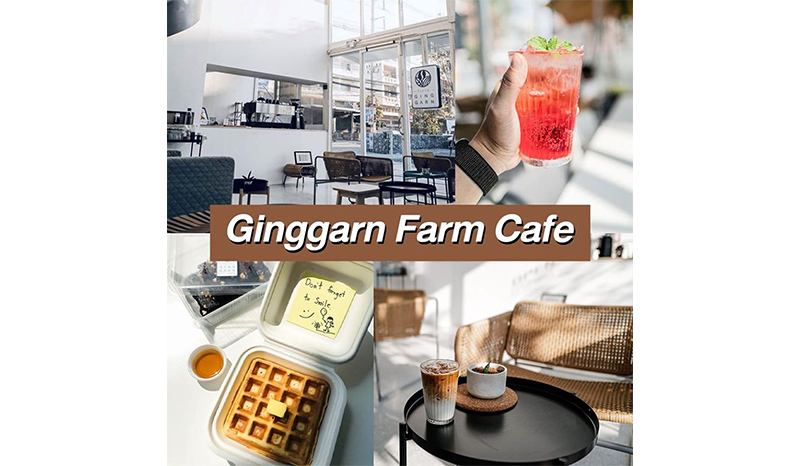 Ginggarn farm Cafe
