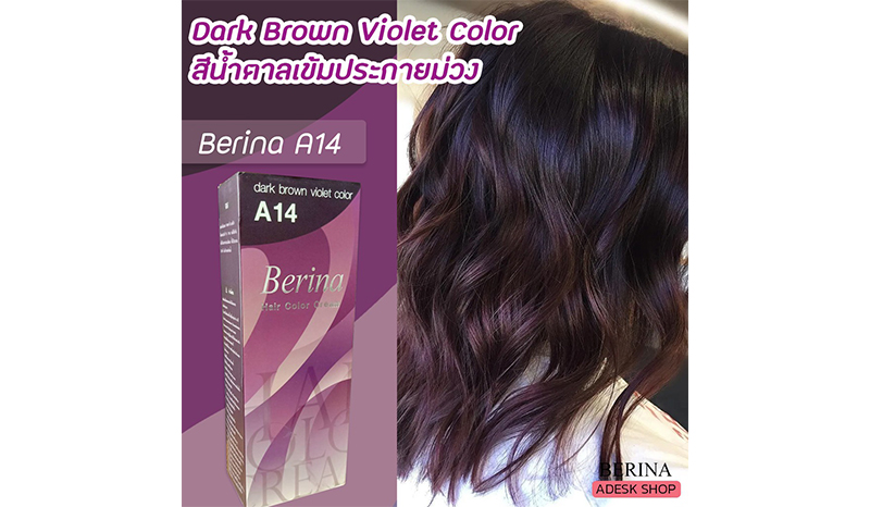 Berina - A14 dark brown violet
