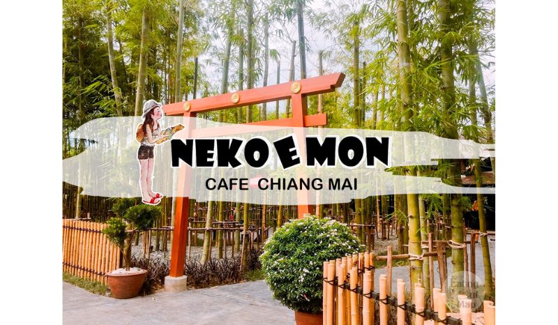 Nekoemon Cafe Chiang Mai