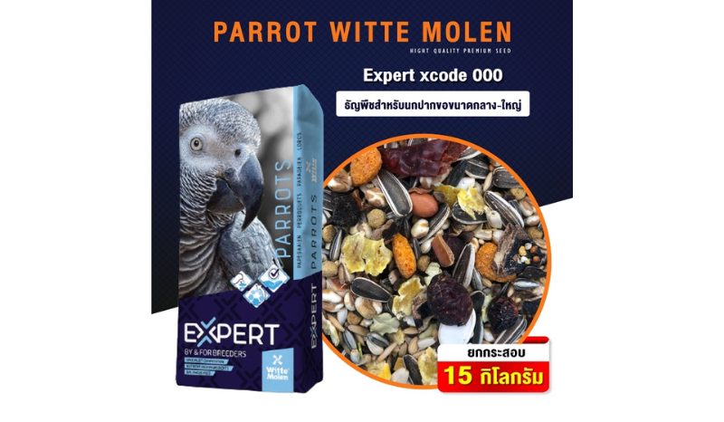 Parrot Witte Molen