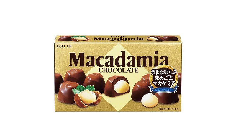 LOTTE Macadamia Chocolate