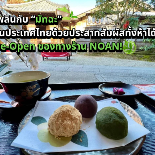เพลิดเพลินกับ “มัทฉะ” สุดฮิตในประเทศไทยด้วยประสาทสัมผัสทั้งห้าได้ที่งาน Pre-Open ของทางร้าน NOAN!