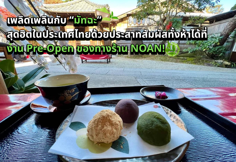 เพลิดเพลินกับ “มัทฉะ” สุดฮิตในประเทศไทยด้วยประสาทสัมผัสทั้งห้าได้ที่งาน Pre-Open ของทางร้าน NOAN!