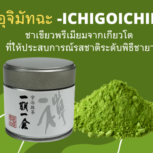 อุจิมัทฉะ ‘Uji Matcha Ichigoichie’ ชาเขียวพรีเมียมจากเกียวโต ที่ให้ประสบการณ์รสชาติระดับพิธีชายา